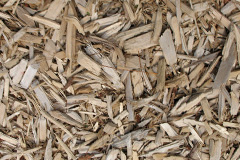 biomass boilers Devauden